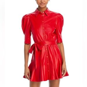 Lurlene Puff Sleeve
Faux Leather mini dresss